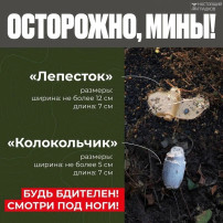 Осторожно мины! Осторожно мины!.